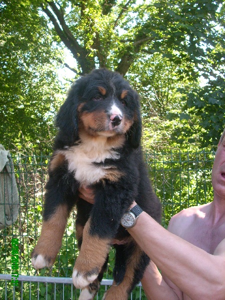 Funny Du Jardin D'Unak