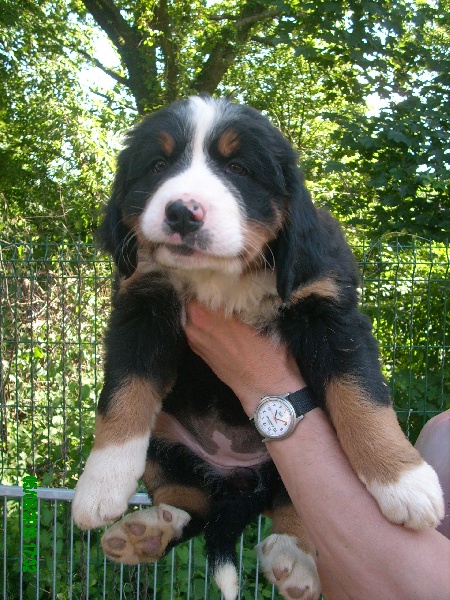 Fiona Du Jardin D'Unak