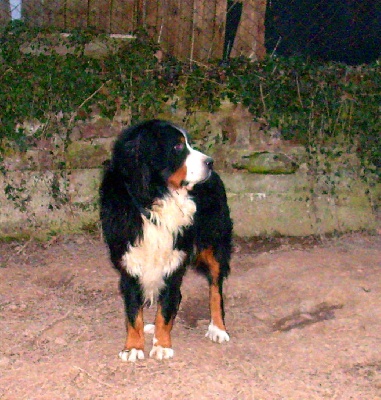 Du Jardin D'Unak - Disponible