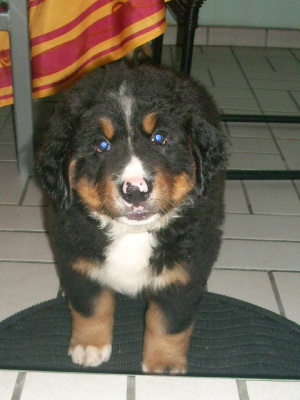 Du Jardin D'Unak - Fakir