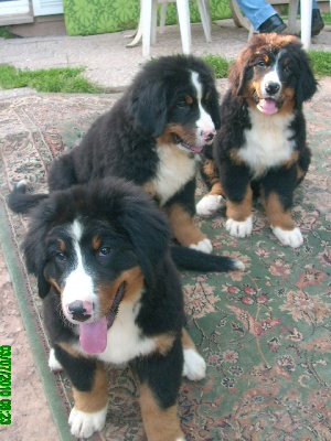 Du Jardin D'Unak - Flore Faraon et Fidji