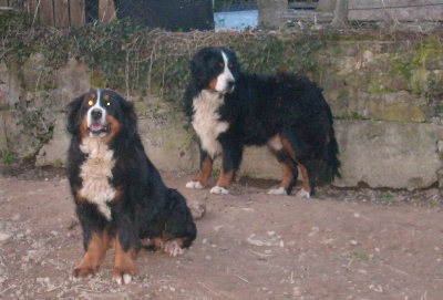 Du Jardin D'Unak - Les bebes sont nes 