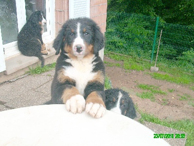 Du Jardin D'Unak - Flore