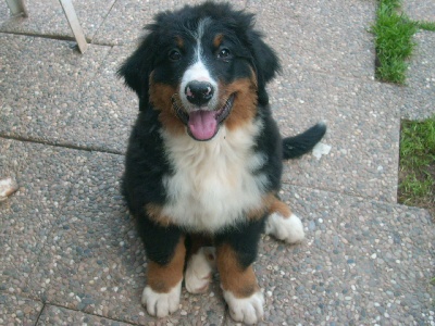 Du Jardin D'Unak - Fidji