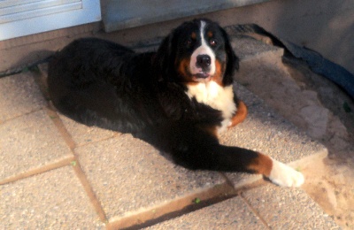 Fiona apres la sieste